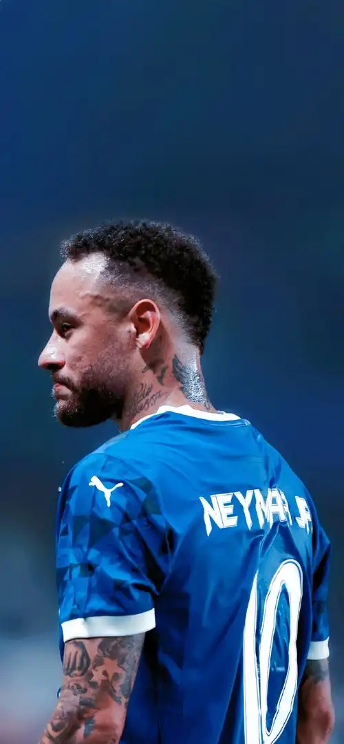 他做出了向 他做出了向